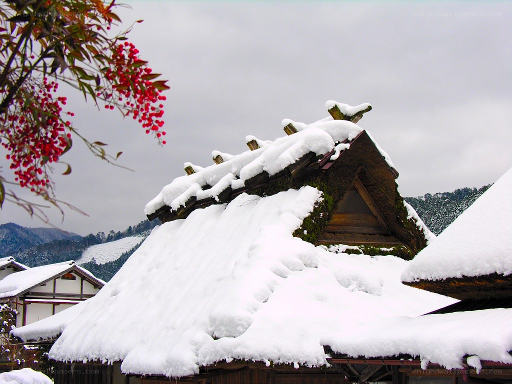 Snow-covered thatched roofs