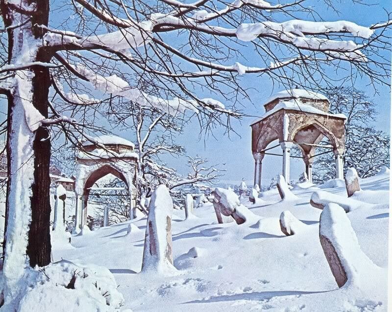 Snow-covered Tombstones