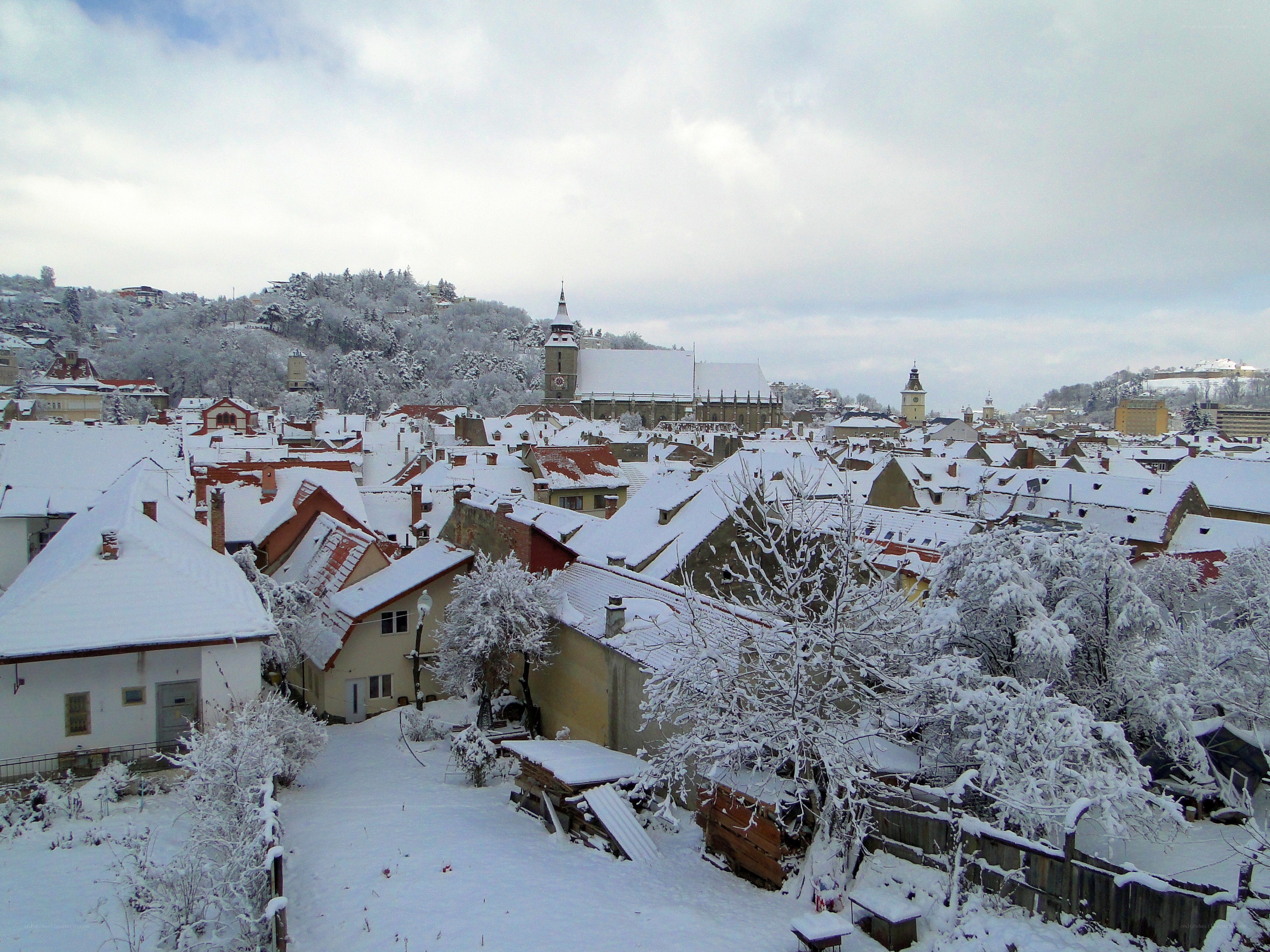 Snow-covered town in winter