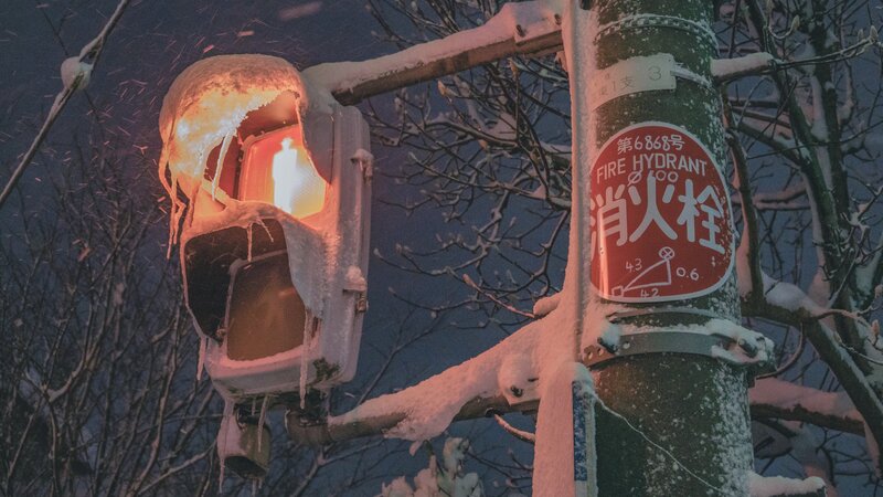 Snow-covered Traffic Light