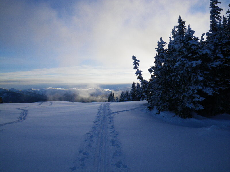 Snow-covered Trail