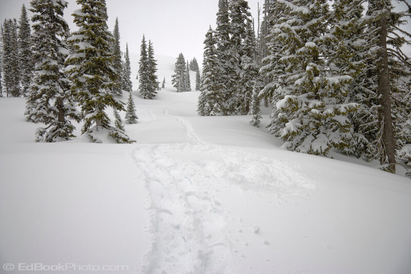 Snow-covered Trail — White