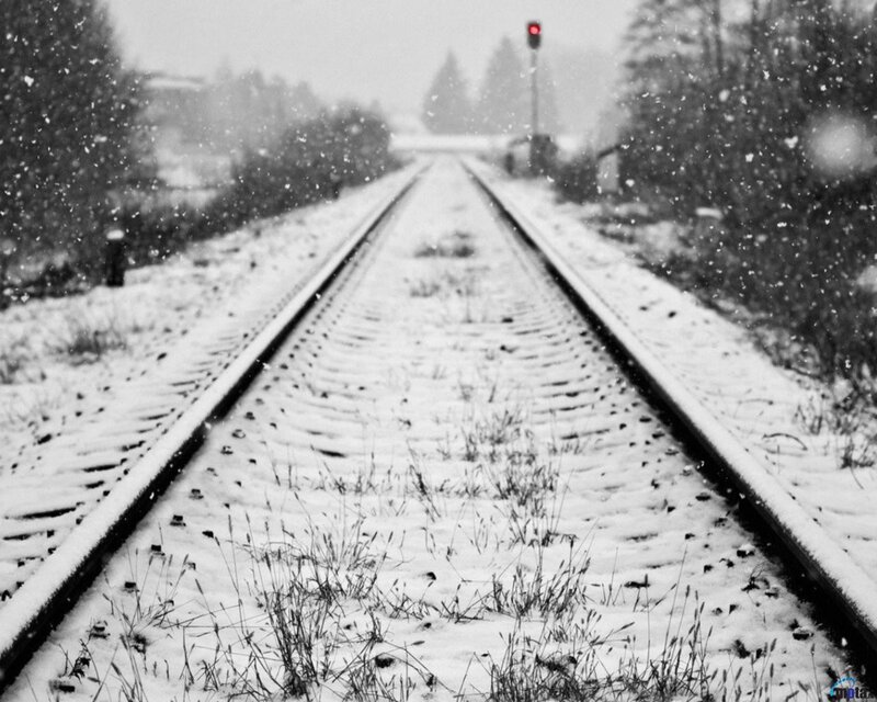 Snow-covered Train Tracks — Black