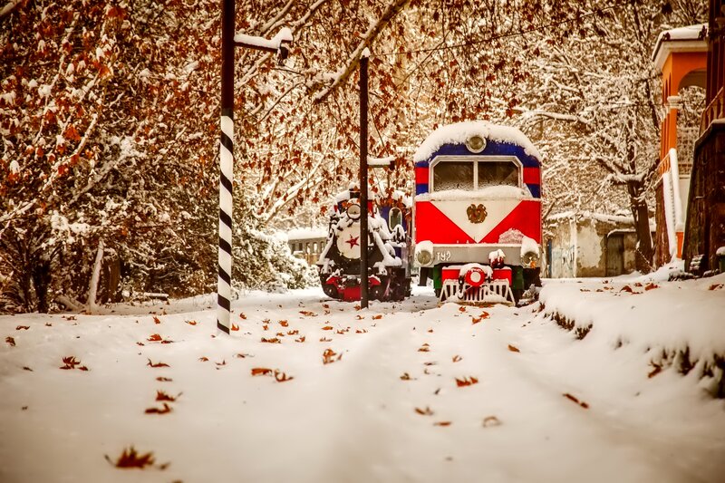 Snow-covered Trains