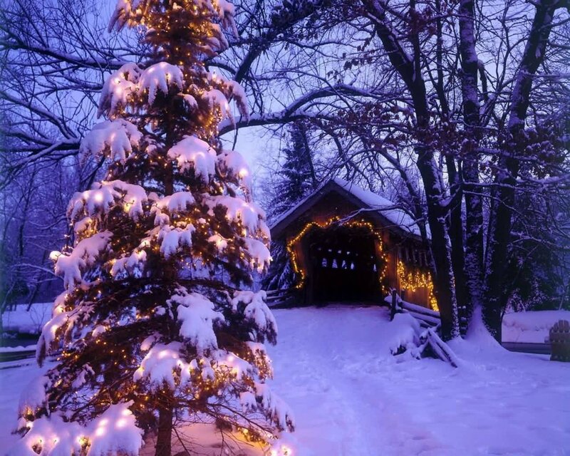 Snow-covered Tree and Bridge — White