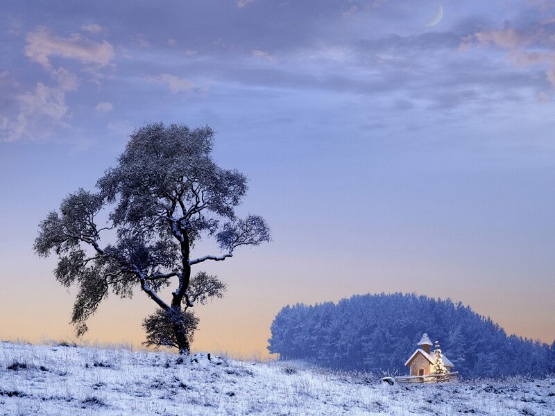 Snow-covered Tree and Cabin
