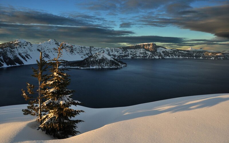 Snow-covered Tree at Crater Lake