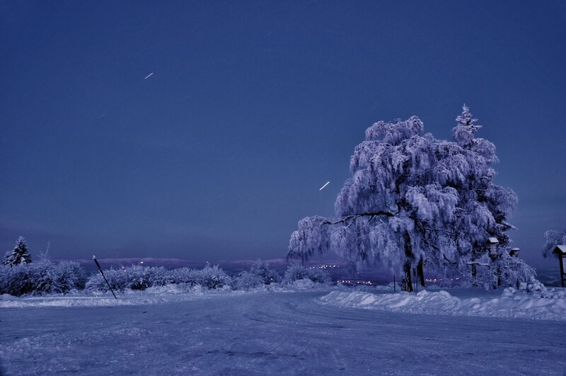 Snow-covered Tree at Night — Blue, Serene, Photograph, Snow