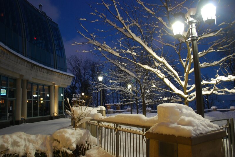 Snow-covered Tree at Night — Blue