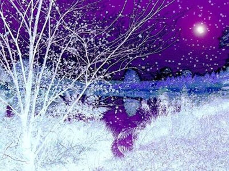 Snow-covered Tree at Night — Purple
