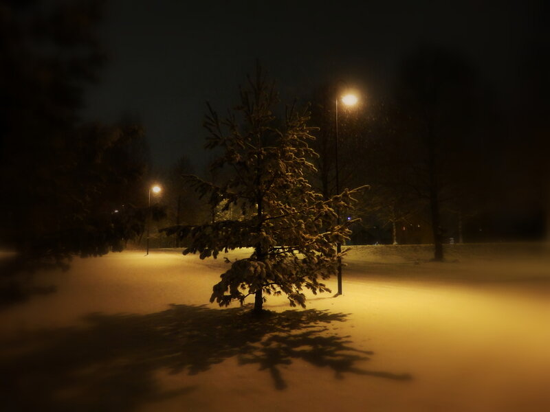 Snow-covered Tree at Night — Yellow