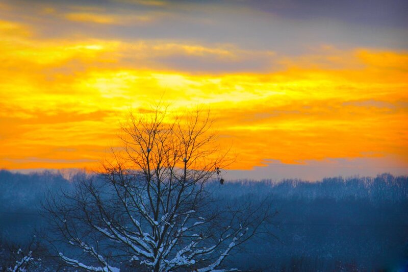 Snow-covered Tree at Sunset — Orange