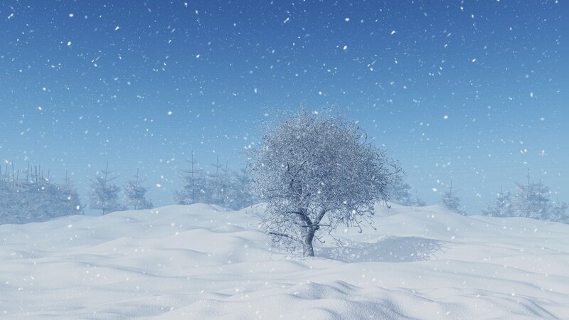 Snow-covered Tree — Blue, Serene, Winter, 3d Render