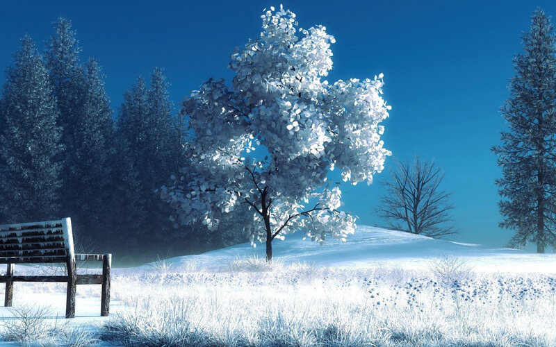 Snow-covered Tree — Blue, Serene, Winter, Digital Art, Bench