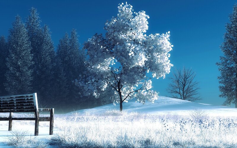 Snow-covered Tree — Blue, Serene, Winter, Digital Art