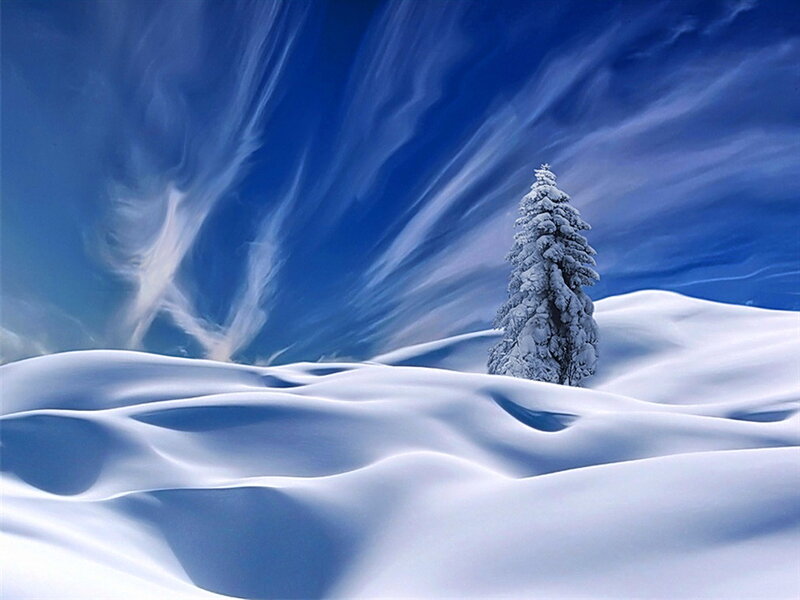 Snow-covered Tree — Blue, Serene, Winter, Photograph, Snow, Sky, Clouds