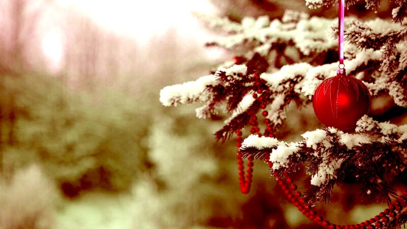 Snow-covered Tree Branch — Red
