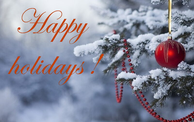 Snow-covered Tree Branch — White, Festive