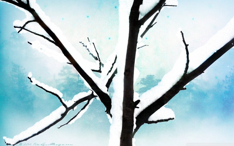 snow-covered tree branches