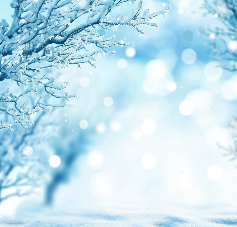 Snow-covered Tree Branches — Blue, Serene, Winter, Photograph, Snow, Bokeh