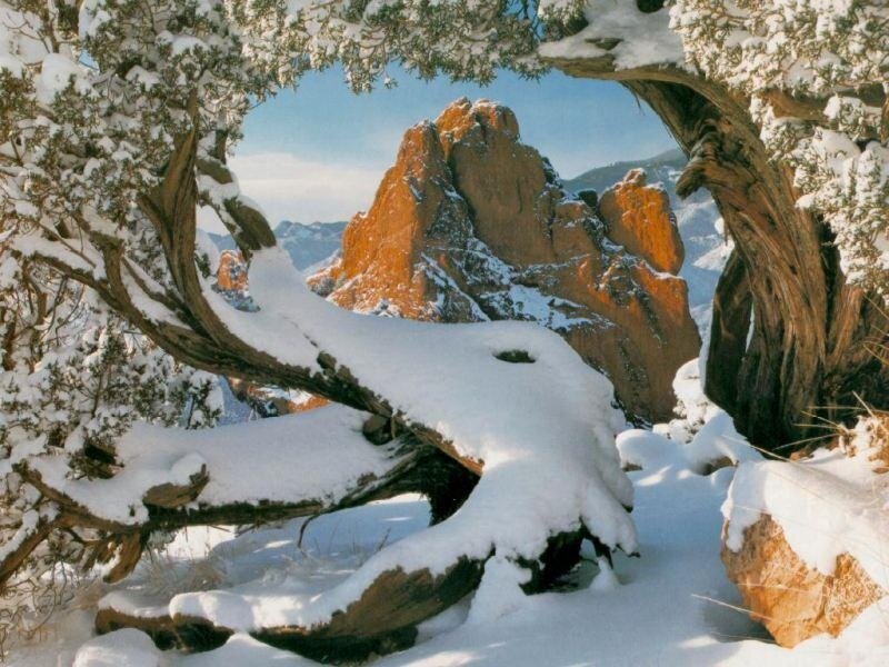 Snow-covered Tree Branches — White, Serene, Winter, Photograph, Rock Formation