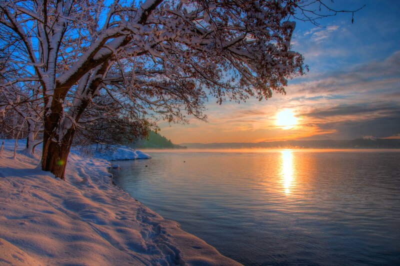 Snow-covered Tree by Lake — Blue, Serene