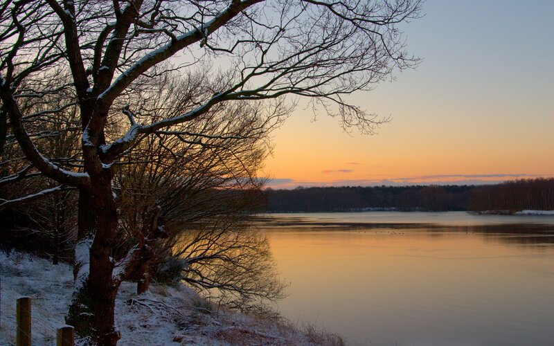 Snow-covered Tree by Lake — Orange