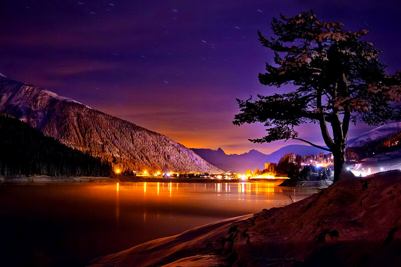Snow-covered Tree by Lake — Purple