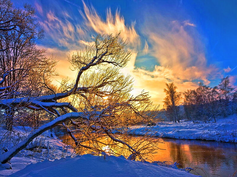 Snow-covered Tree by River — Blue, Dramatic