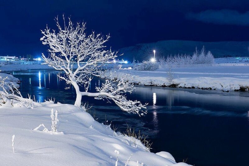 Snow-covered Tree by River — Blue, Serene, Night