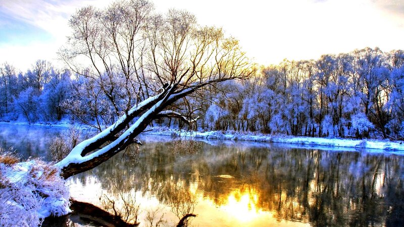 Snow-covered Tree by River — Blue, Serene