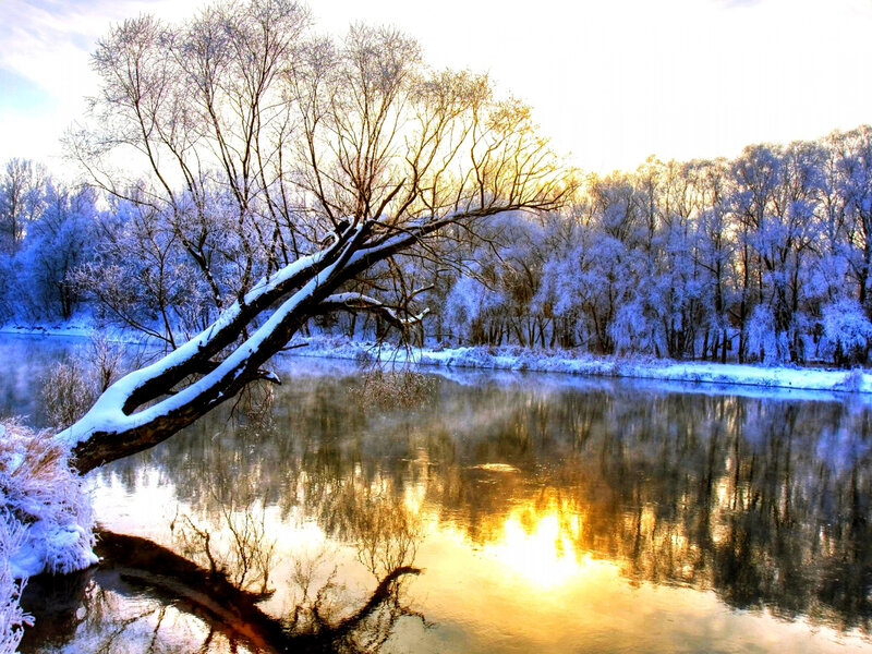 Snow-covered Tree by River — Blue, Serene, Winter