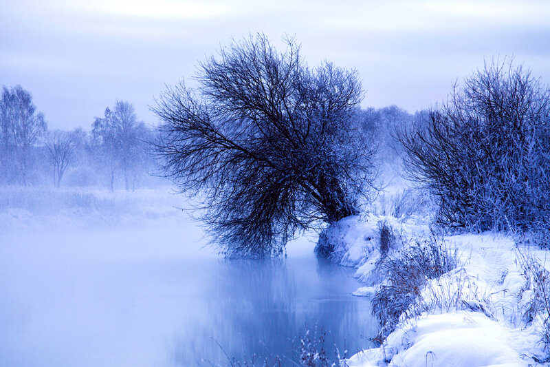 Snow-covered Tree by River — Blue
