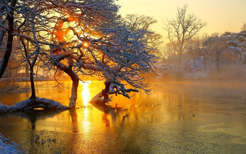 Snow-covered Tree by River — Gold