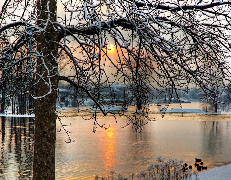 Snow-covered Tree by River — Orange