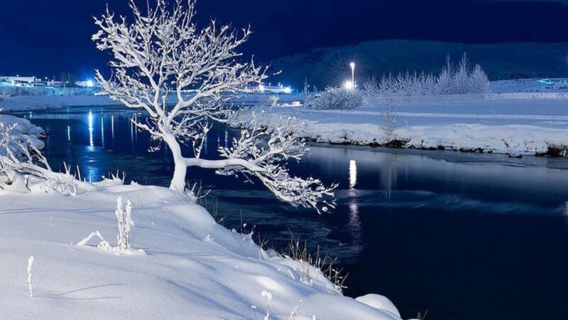 Snow-covered Tree by River — White, Serene
