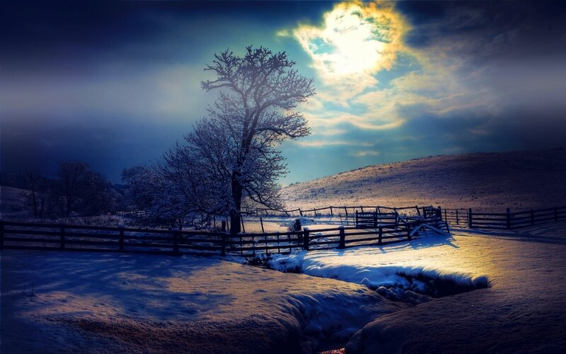Snow-covered Tree in Field — Blue, Dramatic