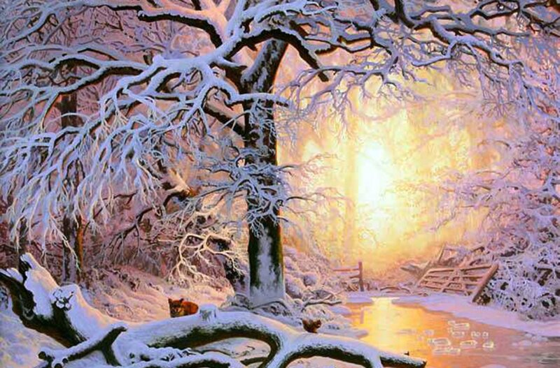 Snow-covered Tree in Forest