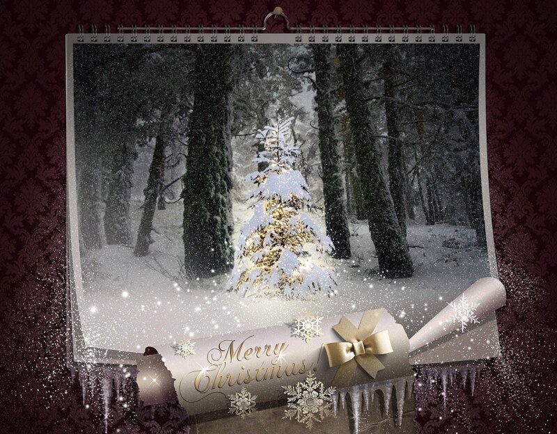 Snow-covered Tree in Forest — White, Festive