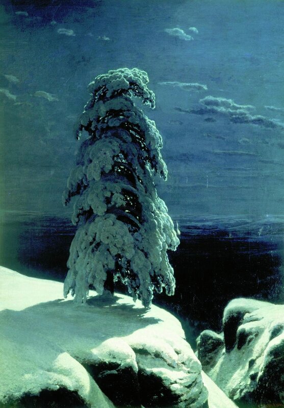 Snow-covered tree in moonlight