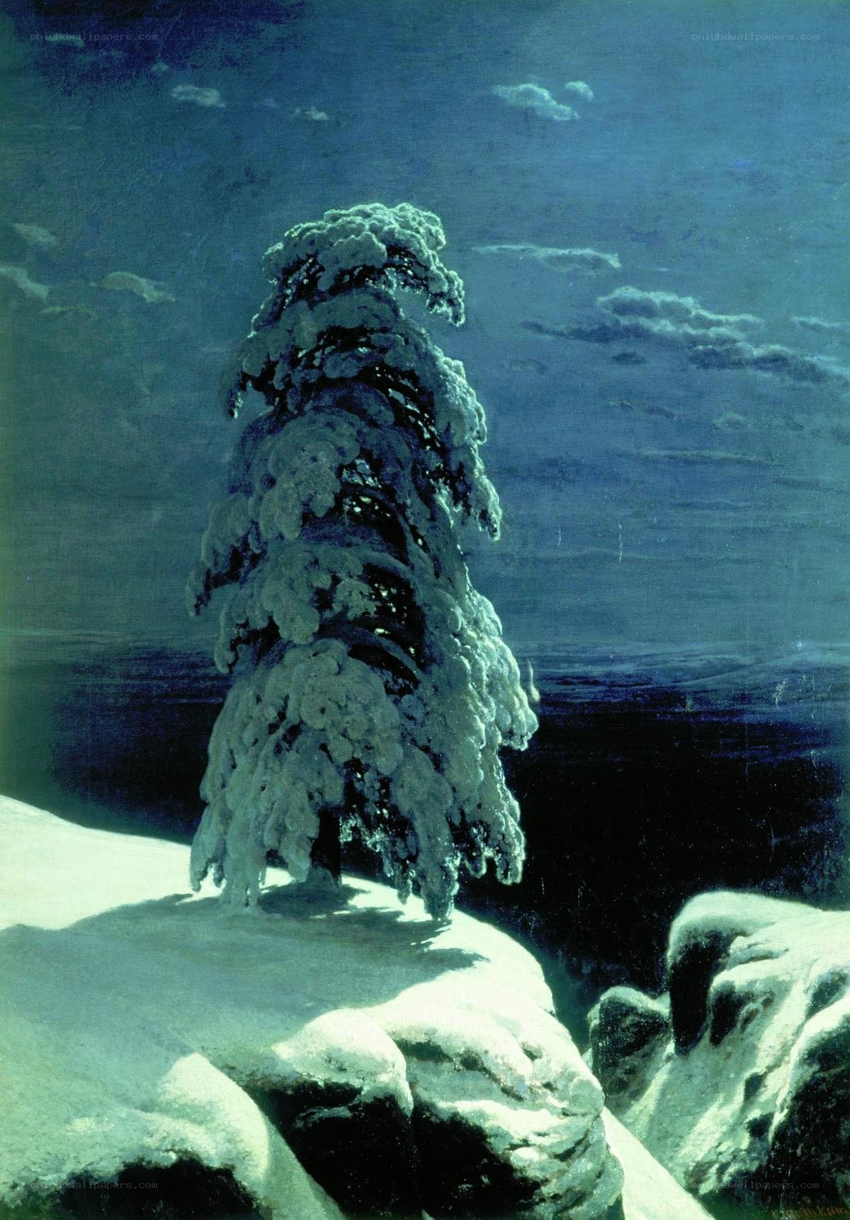 Snow-covered tree in moonlight