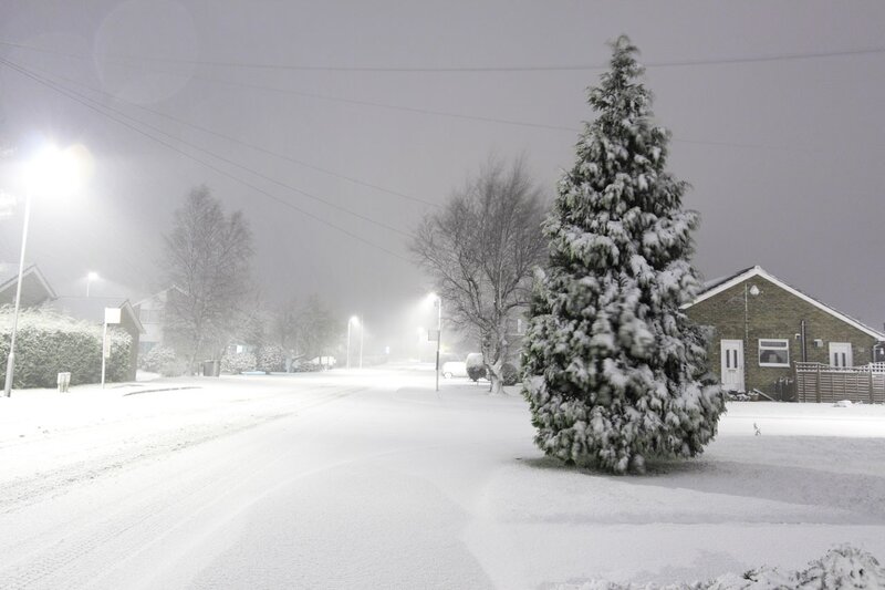 Snow-covered Tree in Street