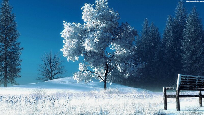 Snow-covered Tree in Winter — Blue, Serene, Digital Art, Bench