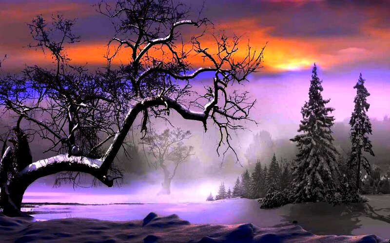 Snow-covered Tree in Winter — Purple