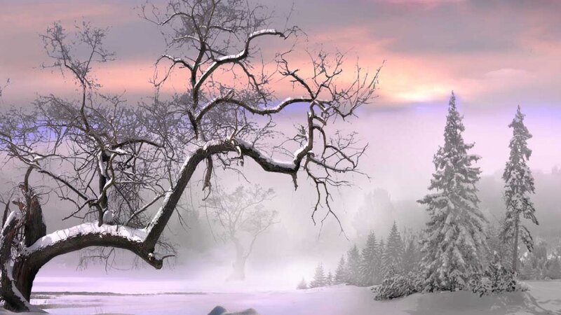 Snow-covered Tree in Winter — White, Serene, Digital Art