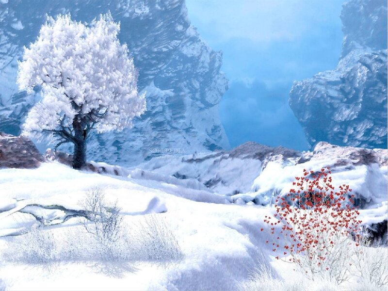 Snow-covered Tree in Winter — White