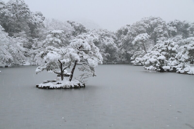 Snow-covered Tree Island