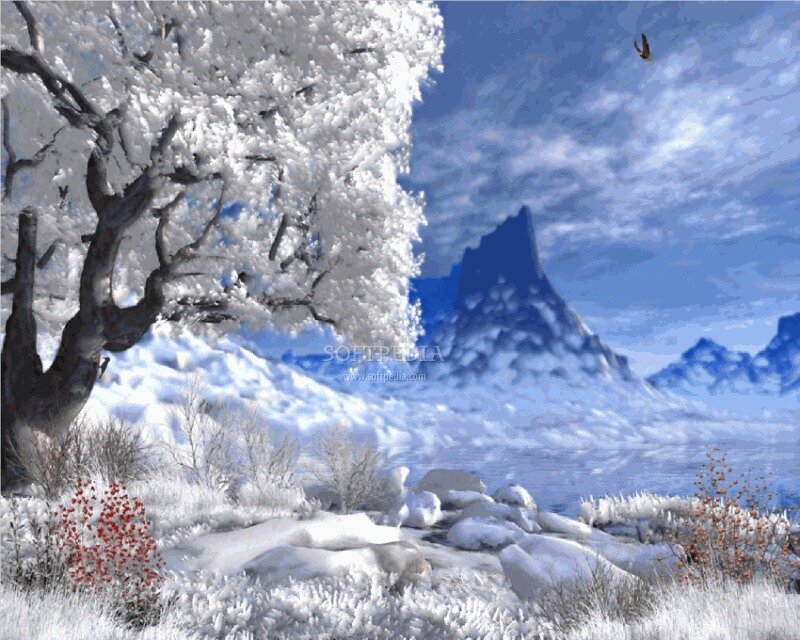 Snow-covered Tree Landscape
