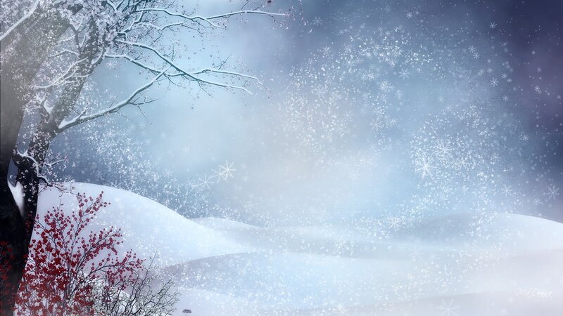 Snow-covered Tree Landscape — White