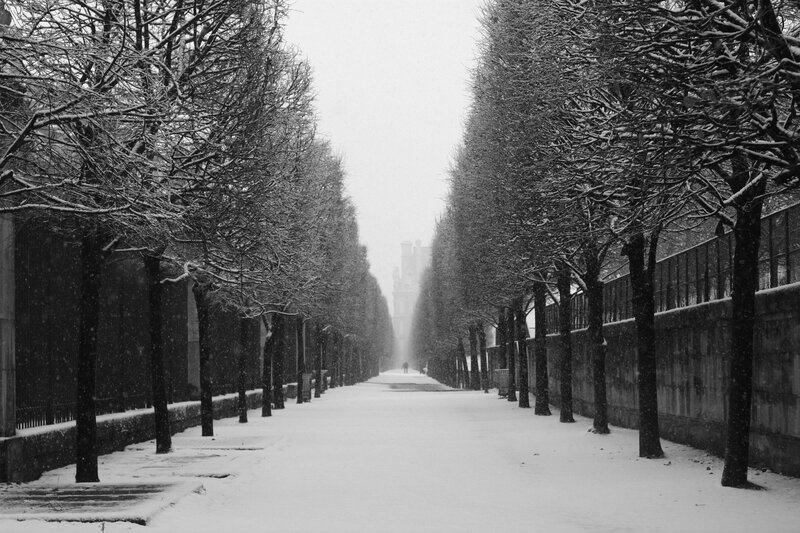 Snow-covered Tree-lined Path